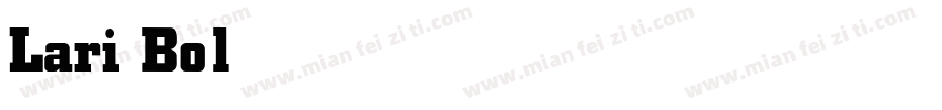 Lari Bold字体转换